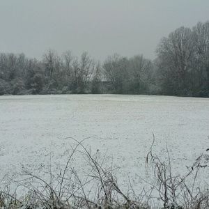 Meet your Posher, Eddie